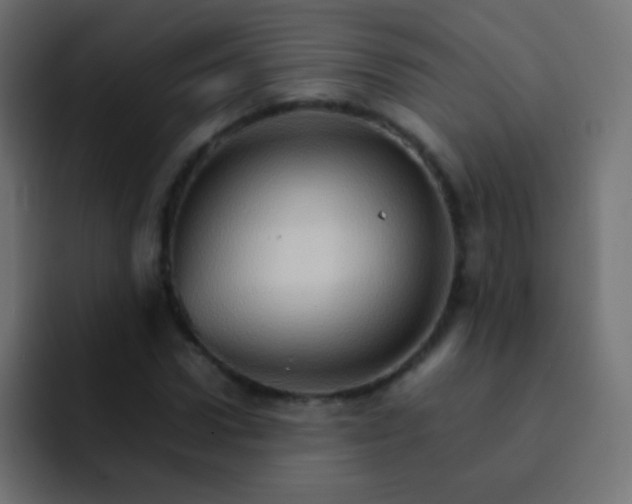 X0000092070922200710031116