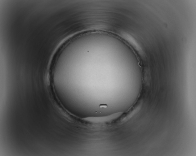 X0000092070924200710031116