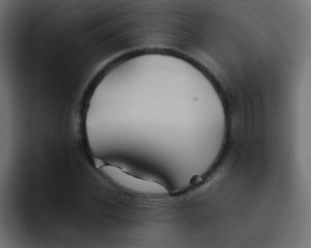 X0000092070926200710031116