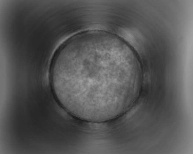 X0000092070928200710031116