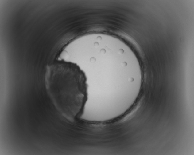 X0000092070929200710031116