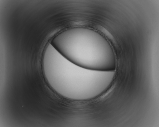 X0000092070930200710031116