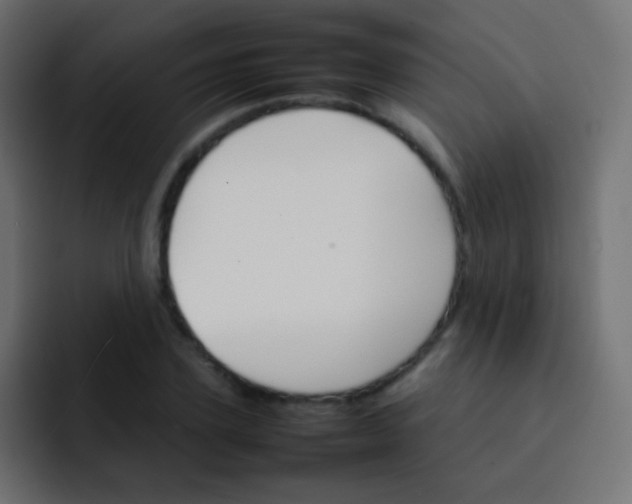 X0000092070931200710031116