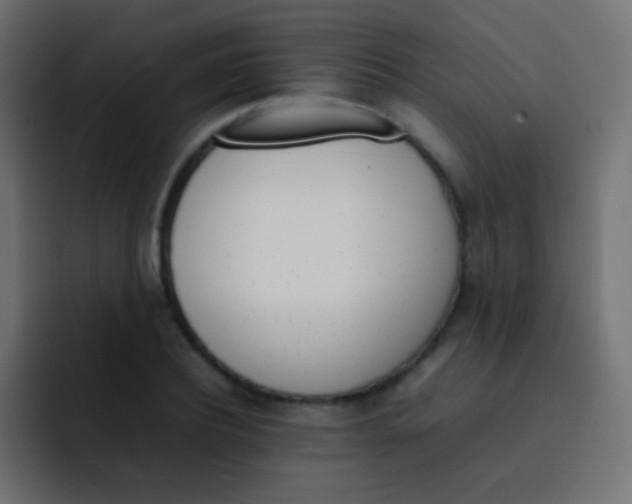 X0000092070932200710031116