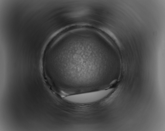 X0000092070935200710031116
