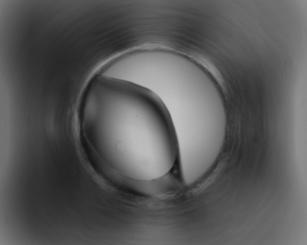 X0000092070936200710031116