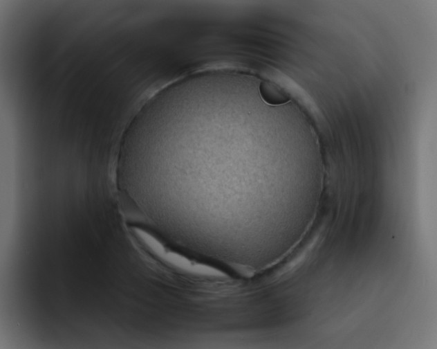 X0000092070937200710031116