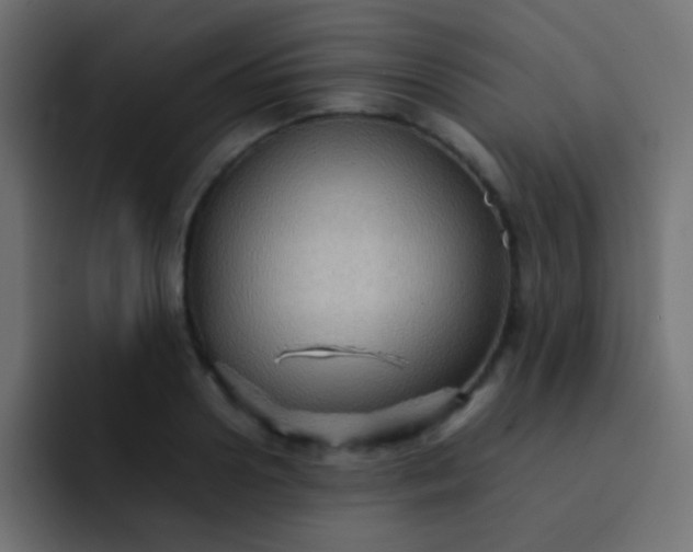 X0000092070938200710031116