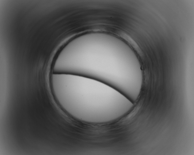 X0000092070939200710031116