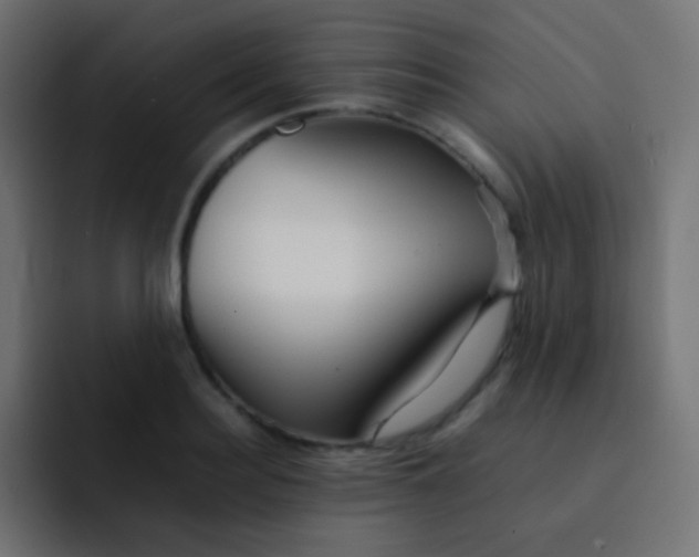X0000092070940200710031116