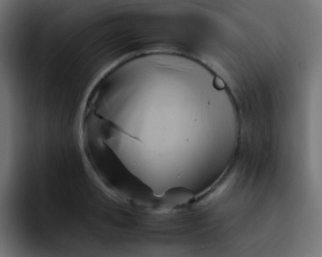 X0000092070941200710031116