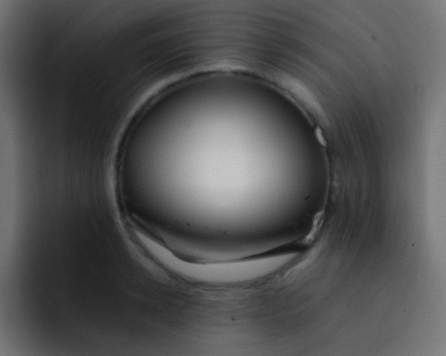 X0000092070942200710031116