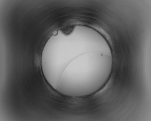 X0000092070945200710031116
