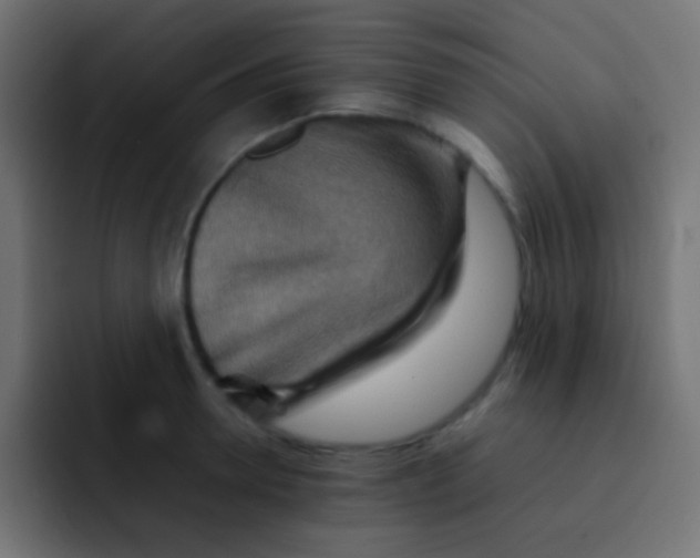 X0000092070946200710031116