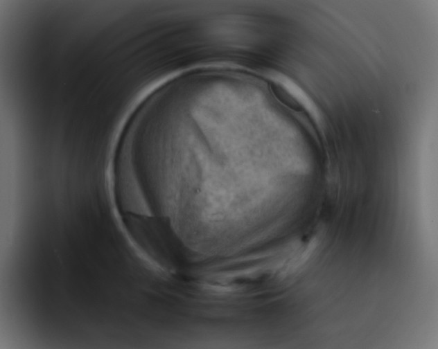 X0000092070951200710031116