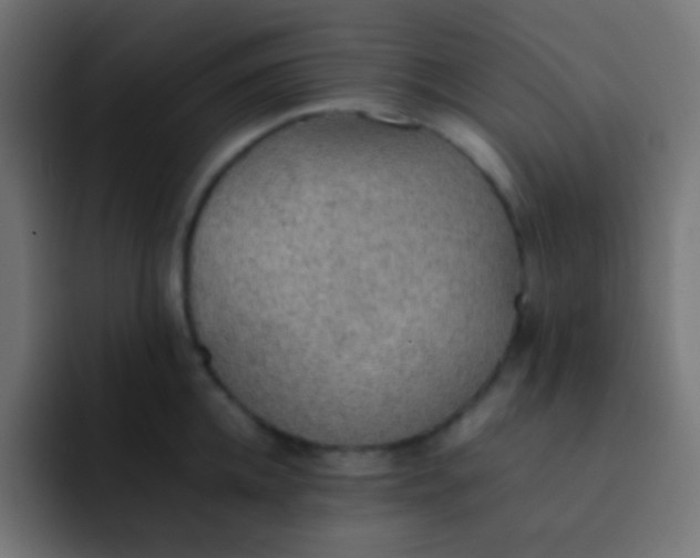 X0000092070952200710031116