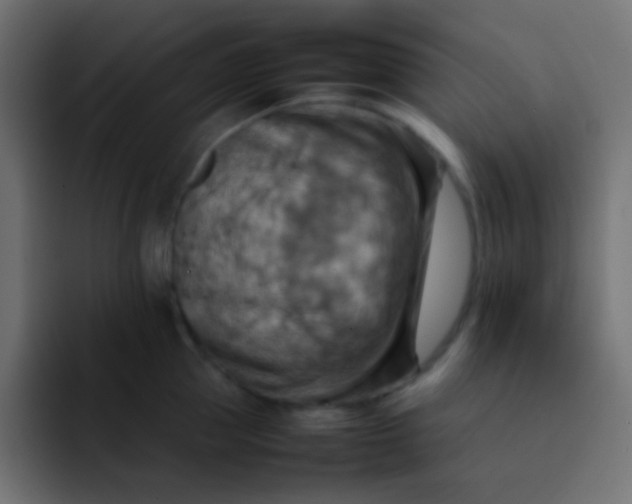 X0000092070953200710031116