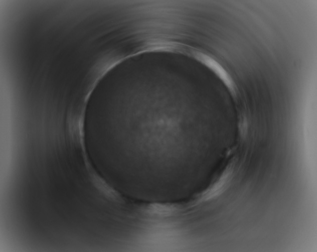 X0000092070954200710031116