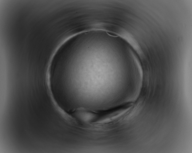 X0000092070955200710031116