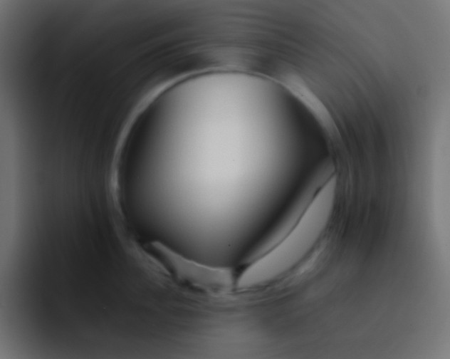 X0000092070956200710031116