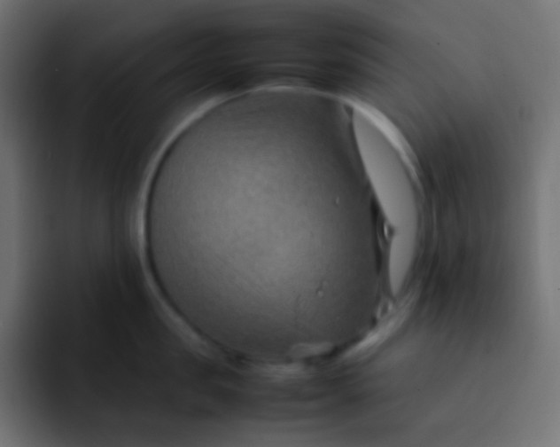 X0000092070957200710031116