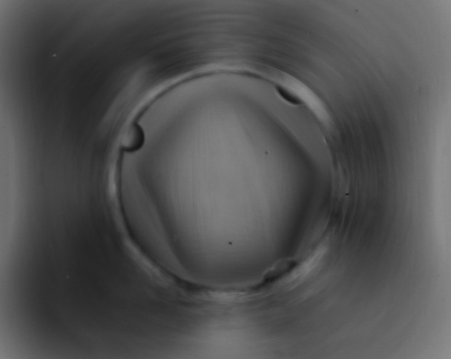 X0000092070958200710031116