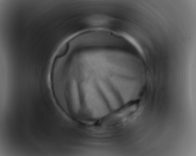 X0000092070959200710031116