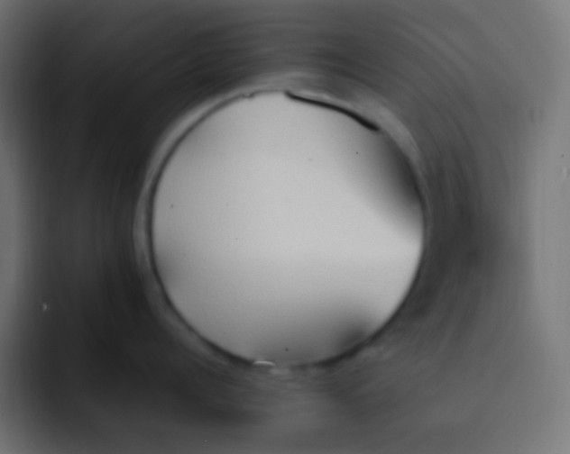 X0000092070960200710031116