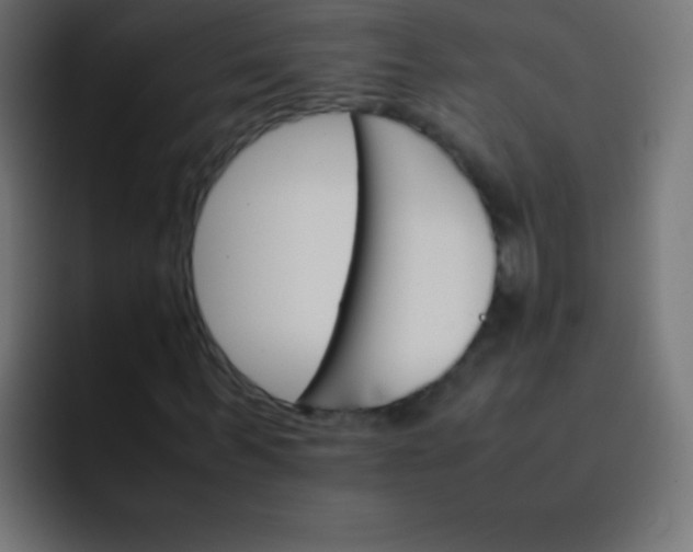 X0000092070963200710031115