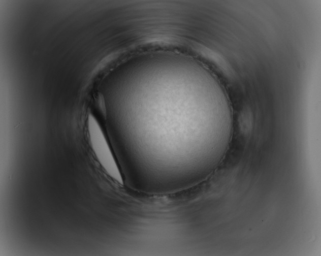 X0000092070968200710031115