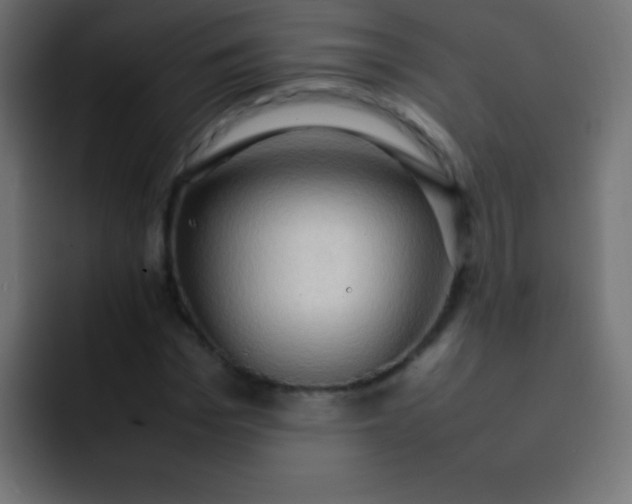 X0000092070969200710031115