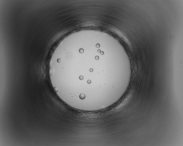 X0000092070970200710031115