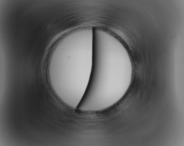 X0000092070971200710031115
