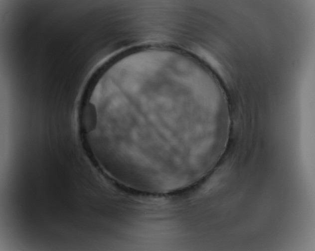 X0000092070975200710031115