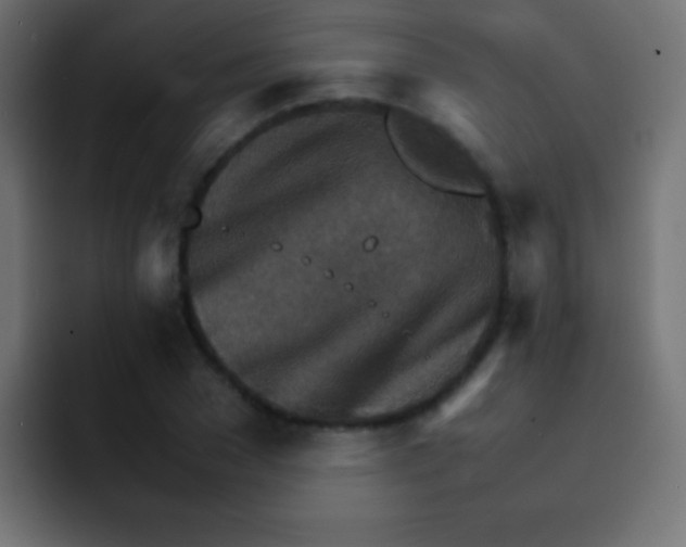 X0000092070977200710031115