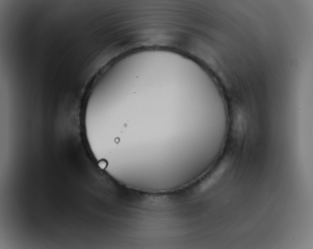 X0000092070978200710031115