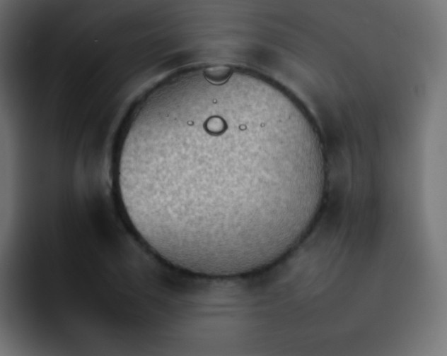 X0000092070979200710031115