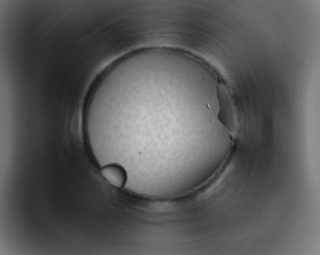 X0000092070982200710031115