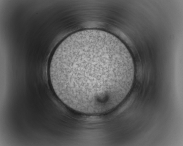 X0000092070986200710031115