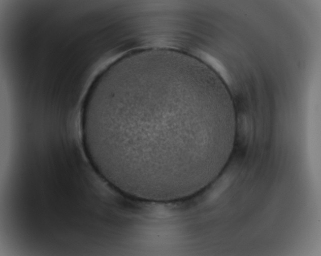X0000092070987200710031115