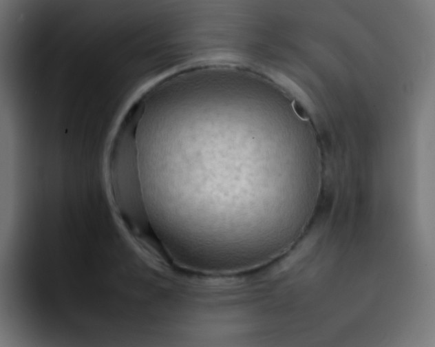 X0000092070989200710031115
