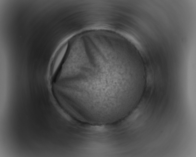 X0000092070990200710031115