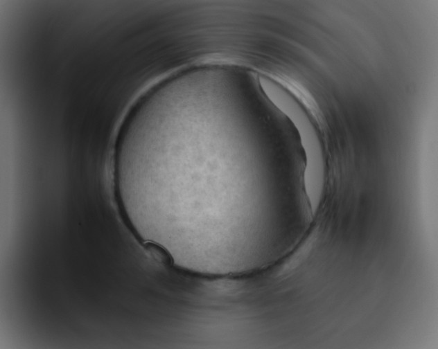 X0000092070992200710031115