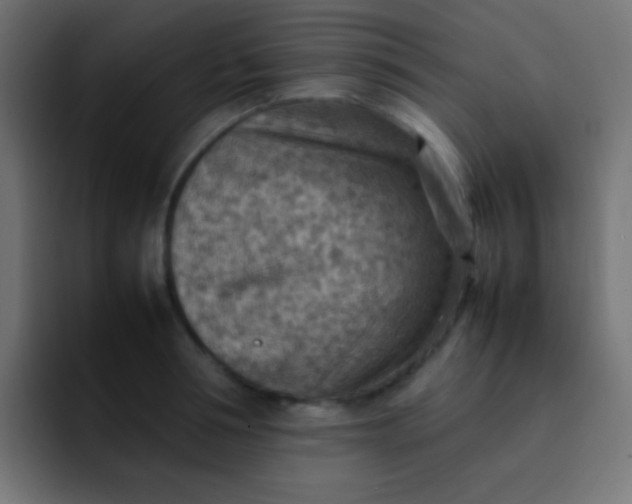 X0000092070994200710031115