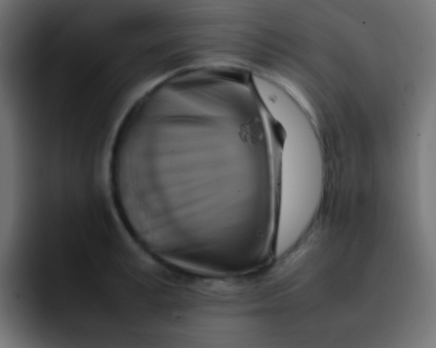 X0000092070995200710031115