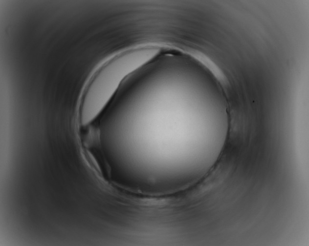 X0000092070996200710031115