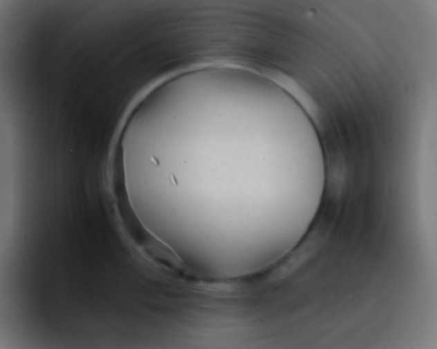 X0000092071004200710031115