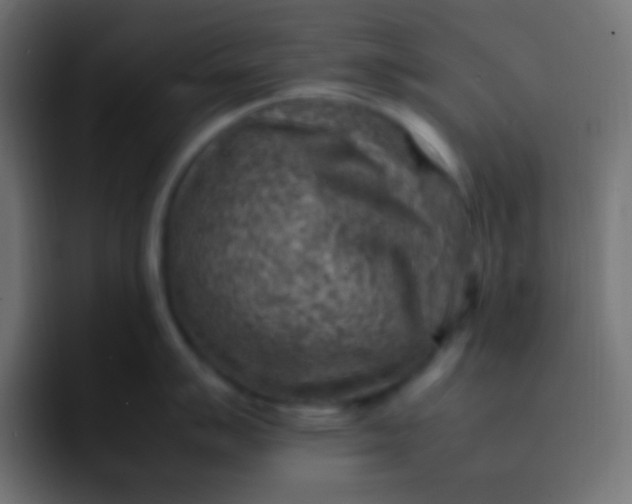 X0000092071007200710031115