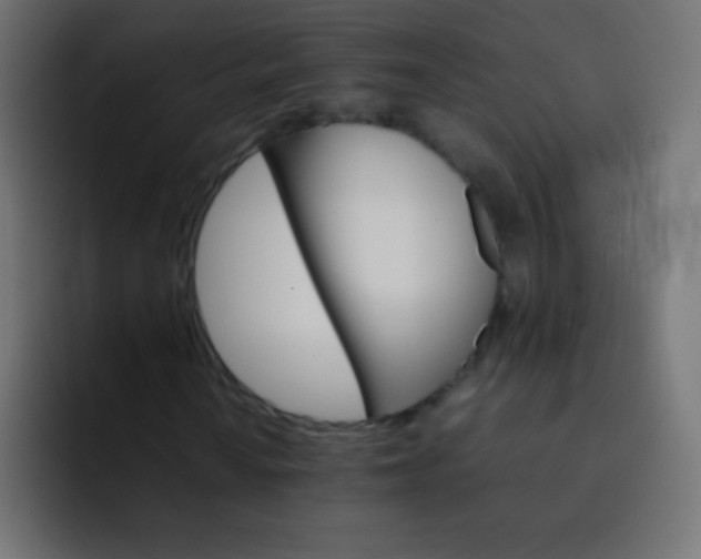 X0000092071010200710031114