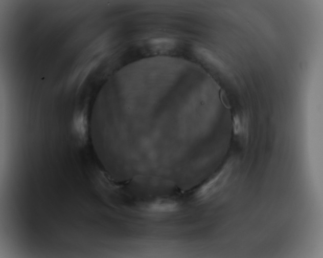 X0000092071011200710031114